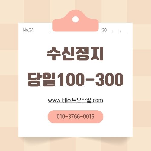 당일가개통