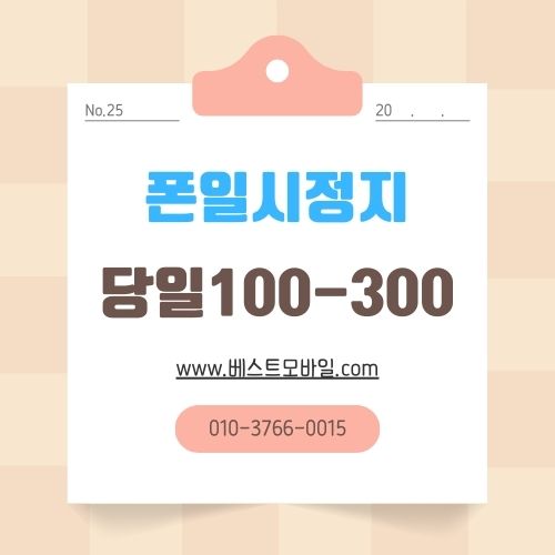 폰일시정지